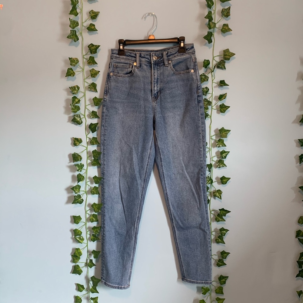 AE Mom Jeans